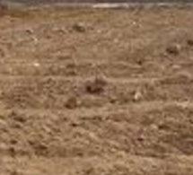 Micmac autour de 20 000 hectares de terres... le documentaire choc