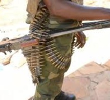 Centrafrique: les groupes armés écartent plusieurs de leurs membres, dont un ministre