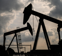 Cours du pétrole : Une hausse notée sur les marchés internationaux en décembre 2020