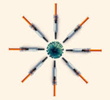 Covid-19: de nouveaux variants capables d’éviter les vaccins?