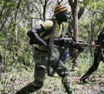 Acculés par l’offensive des ‘‘Jambars’’, les rebelles menacent Bissau