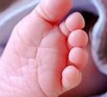 Cité Nations Unies - Un bébé retrouvé mort dans une fosse septique