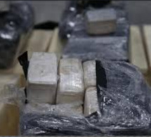 Trafic de drogue à Dagana: Le "baron" du Walo traqué