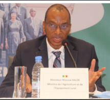Kolda/ Pr. Moussa Baldé, Ministre de l’agriculture: Un adepte de logique dans sa démarche politique