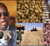 Campagne de commercialisation arachidière: Le Président Sall salue le bon déroulement