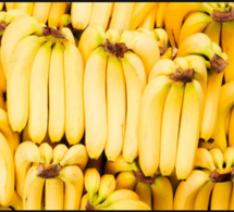 Pénurie de banane à Dakar: la Cote d'ivoire vole au secours du Sénégal
