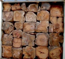 22 containers saisis, un suspect arrêté : la Gambie pose des actes qui rassurent contre le trafic de bois