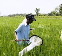Innovation agricole : Lancement du projet Tap-Ais