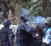 Tr*ste image – Il introduit du gaz lacrymogène sous les vêtements du garde corps de Sonko(Video +Photos )