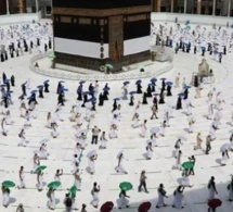 HAJJ 2021: Le vaccin anti-Covid obligatoire pour accomplir le pèlerinage