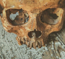 Le mystère de ce crâne isolé retrouvé dans une grotte d’Italie résolu