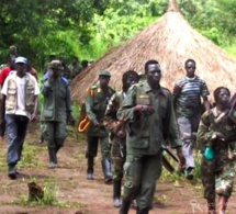 Dépôt armes en Casamance : “Nous avons écouté et entendu Sonko…” (Mfdc)
