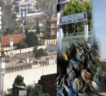 Le Sénégal compte 11 139 détenus, 6198 condamnés dont 108 femmes