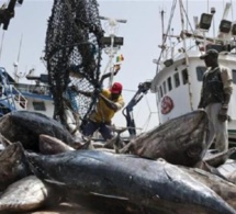 Accords de pêche : «Le Sénégal gagne moins de 10 milliards en 5 ans», révèle Moustapha Dieng, syndicaliste
