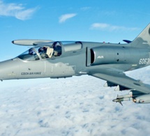 La verrière du cockpit perdue par un avion militaire tchèque tombe dans un champ
