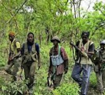 Retour définitif de la paix en Casamance : Le MFDC pour l'unité, le pardon et la réconciliation
