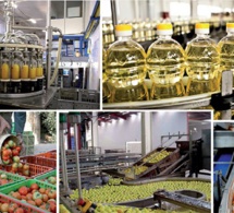 Sénégal : Hausse de la production manufacturière sur une variation annuelle