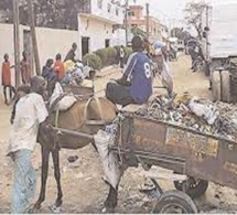 Kaolack : quand les charretiers racontent leur galère