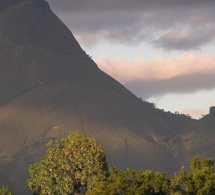 «Plus de 800 personnes» sont portées disparues après la prise de Palma par des djihadistes au Mozambique