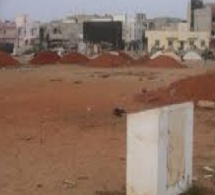 Main basse sur 159 ha à Dougar : Les populations excédées réclament leurs terres et l’arbitrage de Macky Sall