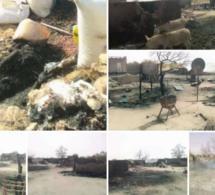 Koungheul : un violent incendie ravage 13 cases à Gainthe Pathé…
