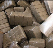 Trafic de drogue: 4 Nigérians et un Sénégalais arrêtés