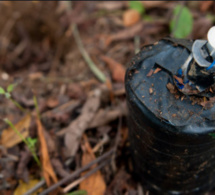 Eradication des mines antipersonnel en Casamance: Le gouvernement se donne 5 ans pour cette opération