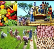 Campagne agricole 2021-2022 : Macky Sall satisfait du déroulement