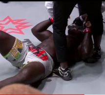 MMA: Reug Reug enregistre sa 1ère défaite, mis k.o par Kiril Grishenko