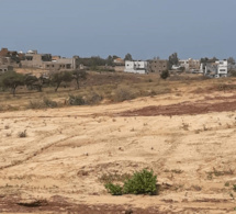 Thiadiaye / Délinquance foncière: L'ancien maire "volait" des cartes d'identité pour se taper des terrains à l'insu...