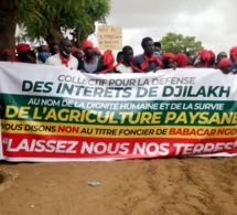 Contentieux foncier à Djilakh: Babacar Ngom "lâche" les 300 hectares litigieux