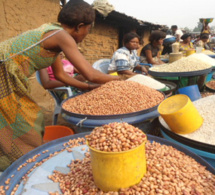Promotion des céréales locales et autonomisation des femmes : L’AFAO pour la commande publique auprès des femmes productrices