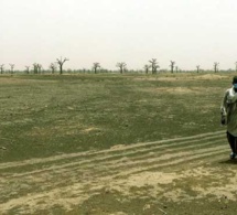 Scandale à Kayar : 36,9 km2 de terres accordées à AIG pour l’exploration et l’exploitation du zircon !