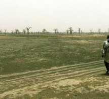 Scandale à Kayar : 36,9 km2 de terres accordées à AIG pour l’exploration et l’exploitation du zircon !