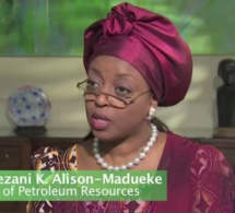 Nigeria: 153 millions de dollars saisis chez un ex-ministre