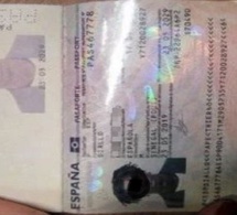 Détenteur d’un faux passeport espagnol: Un Sénégalais expulsé du Paraguay