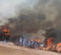 Gros dégâts à Kolda: Un grave incendie consume une vingtaine de maisons…
