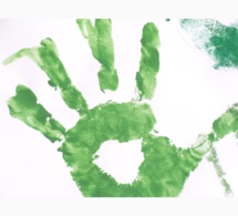 Une nouvelle initiative environnementale mondiale se dessine : L’Alliance Internationale Pour la Protection de l’Homme et de l’Environnement(AIPHE)
