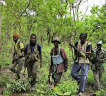 Casamance : Des ailes politiques du MFDC veulent déposer les armes