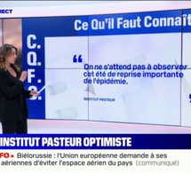 Covid-19: l'Institut Pasteur se montre plutôt optimiste pour cet été