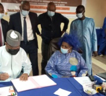 Sénégal : Le HCDS veut accroître la résilience du système sanitaire sénégalais