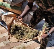 Trafic intérieur de drogue: Ibrahima Diouf risque 10 ans de réclusion criminelle