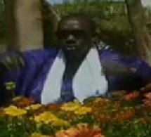 ndiaga mbaye-kaay fii