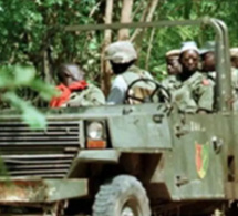 Opérations de l’armée en Casamance: Le MFDC appelle au calme