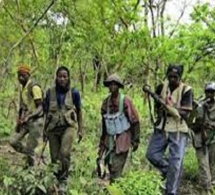 Opération de sécurisation en Casamance : L’Armée sénégalaise récupère cinq bases du MFDC