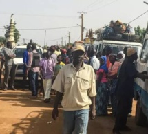 Diouloulou: La Gendarmerie arrête deux trafiquants avec 273 Kg de Yamba et...