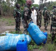 Coup de filet de la gendarmerie à Diouloulou: 237 kg de chanvre Indien saisis, 2 trafiquants interpellés