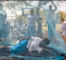 Paludisme: Le Sénégal enregistre en 2020, une hausse de 25% de cas