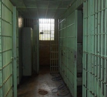 Diourbel / Justice: Coupable de trafic intérieur de drogue, Fadel Bâ écope de 10 ans de prison