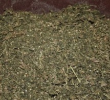Pointe Sarène, nouveau point de débarquement de la drogue et de la fraude